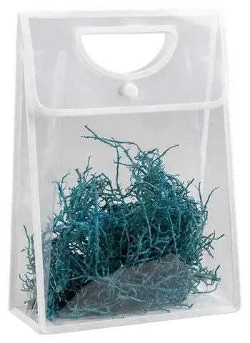 Clear Snap Pouch